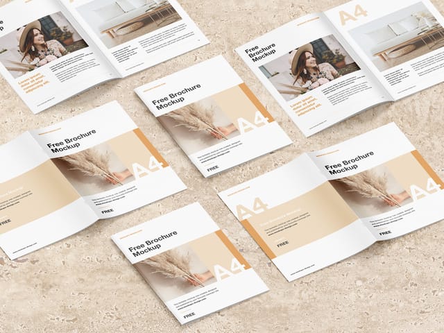 Beispielbild von Broschüren